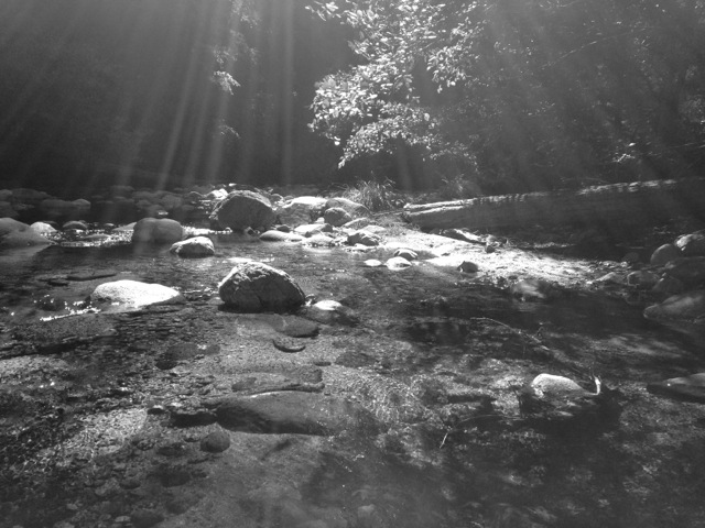 Big Sur River at Barlow Flat