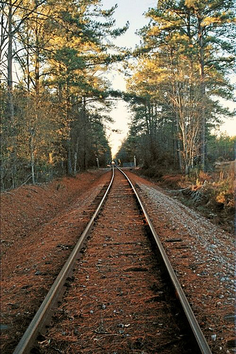 Railroad tracks in Ruffin, SC